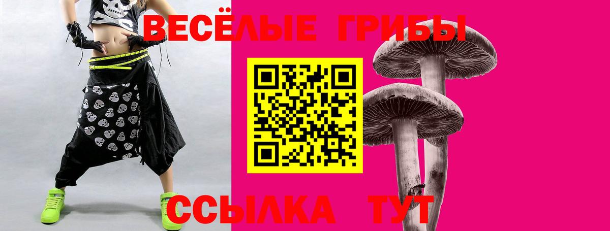Псилоцибиновые грибы мицелий  Псилоцибиновые грибы прущие грибы  Вход с VPN  Касимов 